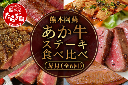 【定期便6回】あか牛 ステーキ 食べ比べ！ 6部位 熊本県産 和牛 タレ付 【 牛肉 肉 定期 和牛 国産 ステーキ ご褒美 6カ月 】 046-0634