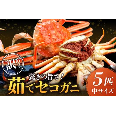 ふるさと納税 京丹後市 美味!驚きの旨さ!茹でセコガニ(訳あり) 中サイズ5匹入(茹で上がり後1匹175g以上)