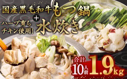 国産黒毛和牛もつ鍋 6人前 冷凍ちゃんぽん・濃縮スープ付＋ハーブ育ちチキン使用！水炊き4人前 合計10人前【2025年2月発送】
