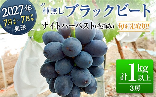 
                  ［ご自宅・ご家庭用］初物 旬を先取り【7月上旬～7月下旬に発送】 温室ハウス栽培 ぶどう 2027年収穫・発送 ナイトハーベスト（夜摘み）種なし 極早生 早なり 早熟 高級品種 『ブラックビート』計1kg以上 3房 希少 人気 ブドウ フルーツ 果物【B682-27】
                