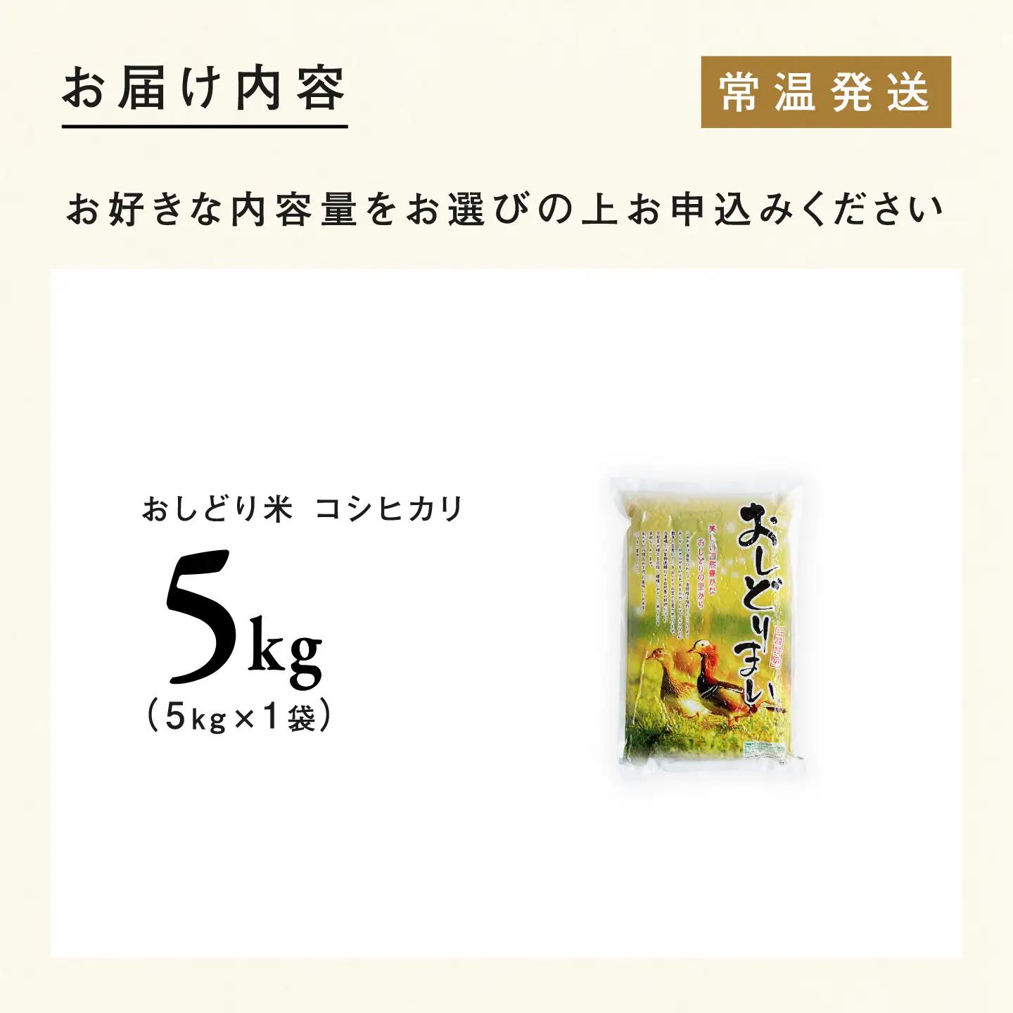 【令和8年産新米！】【先行予約】【2026年9月下旬以降順次発送予定】福井県産 おしどり米 コシヒカリ 5kg 白米 精米 