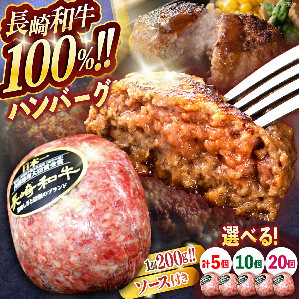 【ふるさと納税】【選べる容量・回数】長崎和牛ハンバーグ 【株式会社 黒牛】[OCE065] / ハンバーグ定期便 国産牛 牛肉 ミンチ すぐ調理 簡単調理 牛肉100% 和牛 はんばーぐ 冷凍便