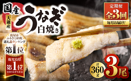 2080-1 鹿児島県 大隅産 うなぎ 白焼き 3尾  計360g 【 3ヶ月 定期 】 KN007-T02 魚 冷凍 鰻