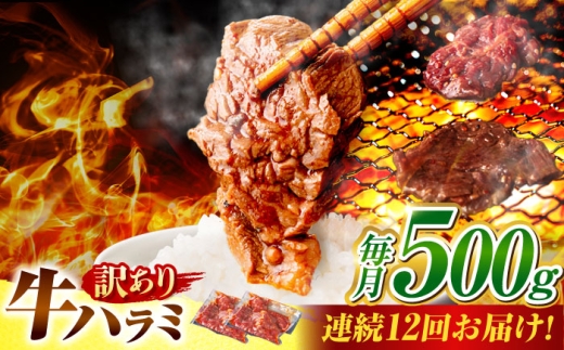 【12回定期便】【訳あり】味付けハラミ 500ｇ(250ｇ×2パック) / ハラミ 牛肉 焼肉 / 御嵩町 / 馬力家 [AVBO041]