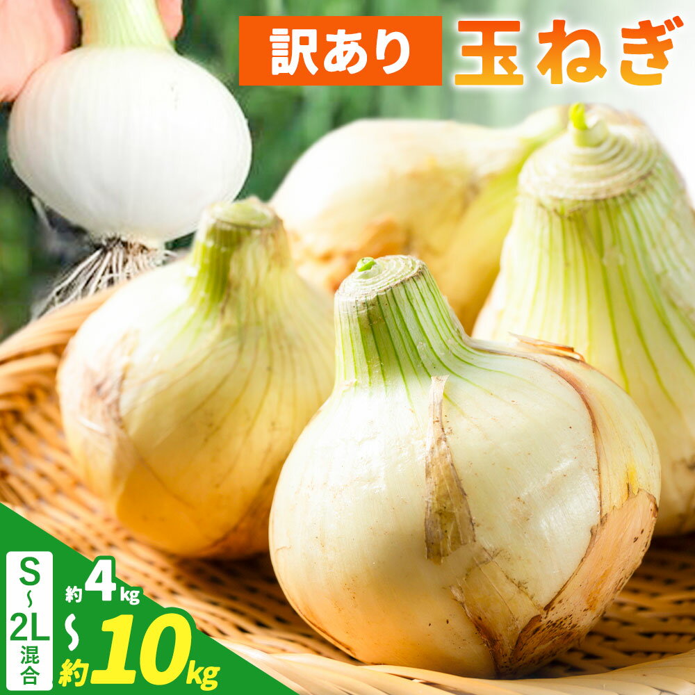 【ふるさと納税】【先行予約】農家さん直送！ 訳あり 玉ねぎ S〜2Lサイズ混合 選べる 約4kg 約10kg 《2026年4月中旬-8月上旬頃出荷》和歌山県 紀の川市 野菜 たまねぎ