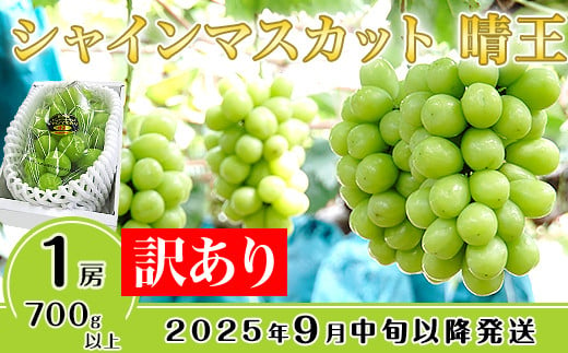 
            【訳あり】シャインマスカット晴王1房【2025年9月中旬～10月下旬発送予定】（いばら愛菜館）
          