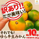 【ふるさと納税】訳あり ゆら早生 みかん 箱込10kg(内容量 9.2kg)サイズミックス 有田みかん 和歌山県産 【みかんの会】 | 和歌山 フルーツ 果物 くだもの かんきつ 柑橘 柑橘類 みかんの会 送料込み 送料無料