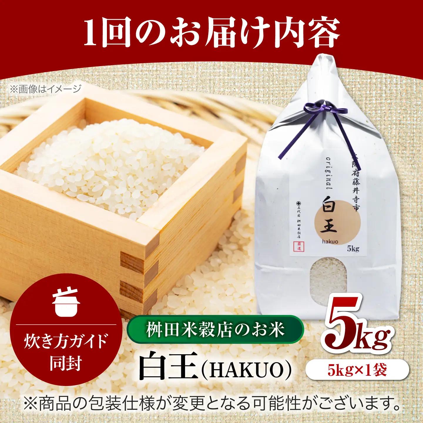 【全3回定期便】 お米 白王(HAKUO)5kg / 米 コメ こめ お米 おこめ ご飯 ごはん ゴハン オリジナル米 ブランド米 白米 精米 魚沼 魚沼産 魚沼市 大阪府 藤井寺市 お米マイスター 