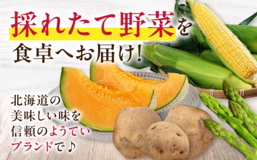 赤肉メロン 大玉 2玉《喜茂別町》【Aコープようてい】メロン めろん melon 北海道 赤肉メロン 果物 くだもの 果汁 フルーツ 赤肉 ご褒美 産地直送 甘い 国産 大玉 2玉入り 高糖度 定番 お取り寄せメロン [AJAK024]