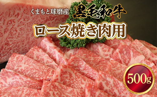 
くまもと球磨産　黒毛和牛(ロース焼き肉用　500g)　先行予約2023年2月下旬より順次出荷予定
