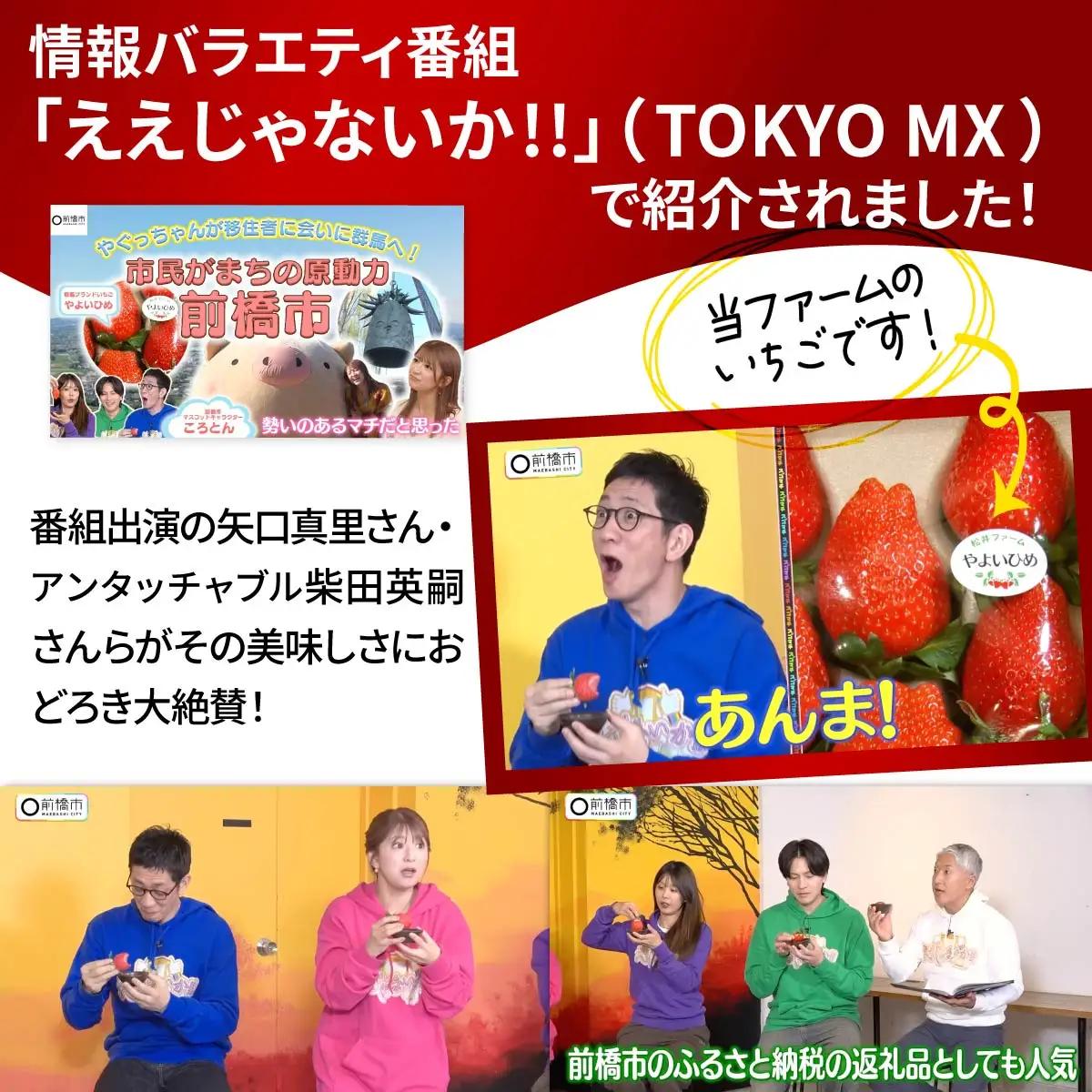 いちご 3～6品種 食べ比べ 計6パック いちご