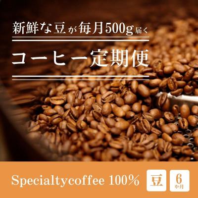 ふるさと納税 豊川市 【毎月定期便】毎月違うコーヒー豆をお届け スペシャルティコーヒー 豆 500g全6回
