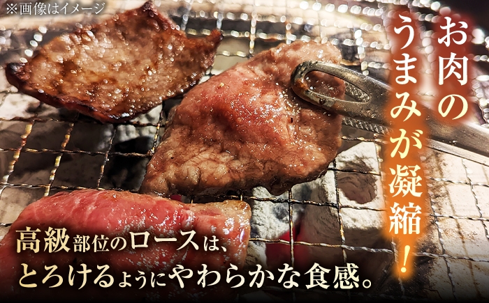 佐賀牛 牛肉 肉 ロース 焼肉 BBQ 霜降り