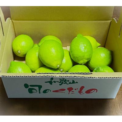 ふるさと納税 印南町 印南町産　レモン　2kg |  | 01