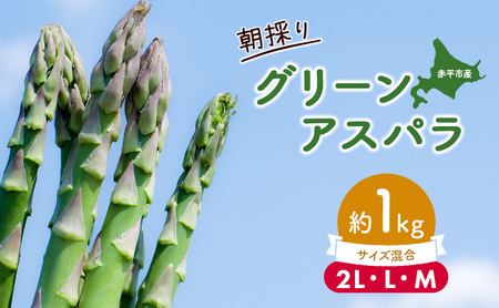 アスパラ 朝採り アスパラ【約1kg2L・L・Mサイズ混合】【先行予約】