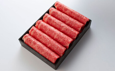 A5/A4等級　博多和牛 リブローススライス(すき焼き用)2～3人前 約500g＜株式会社ヌルボン＞那珂川市[GEU001]