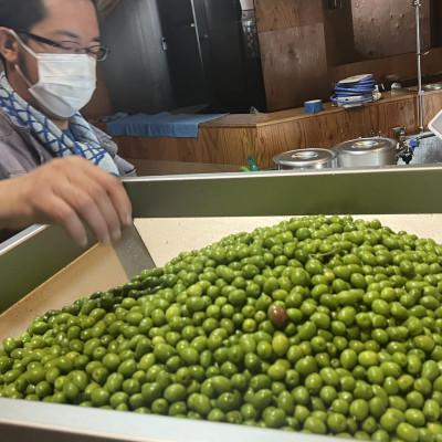 ふるさと納税 館林市 クラフトオリーブオイル　ゆず |  | 03