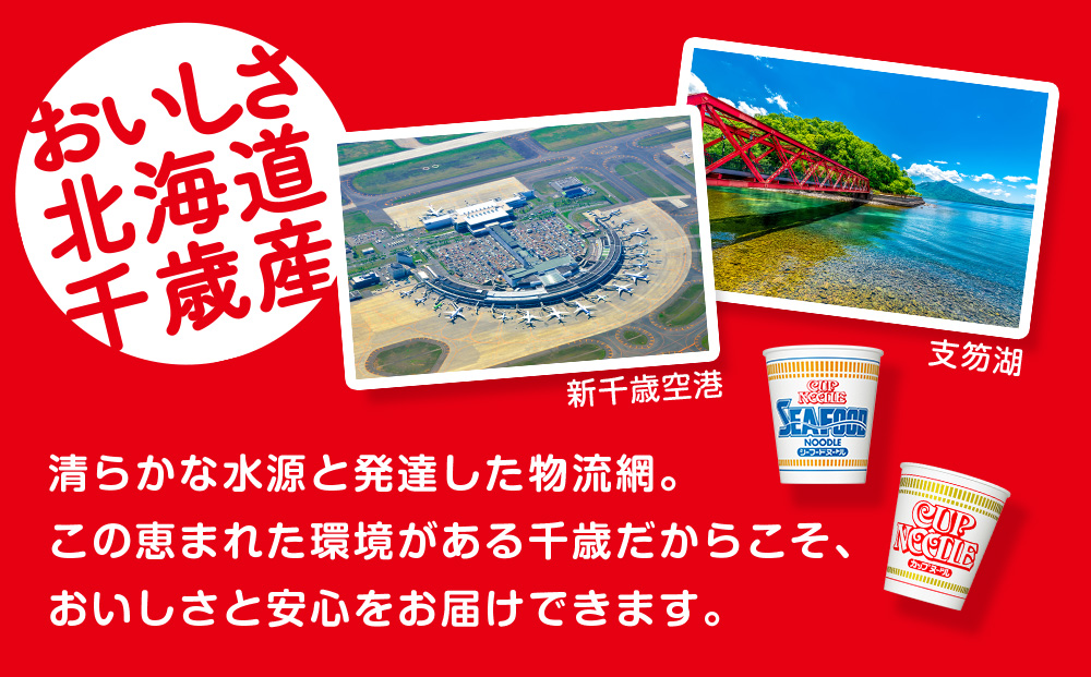 日清ヌードル2種セット カップヌードル・シーフードヌードル各20食 ラーメン 麺 即席麺 麺類 ラーメン カップ麺 インスタントインスタント 麺類 カップラーメン