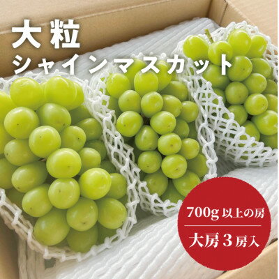 【ふるさと納税】【きよとうファーム】大粒で大房のシャインマスカット 大サイズ3房入 各700g～(岡山県産)【配送不可地域：離島】【1465541】