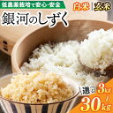 【ふるさと納税】【令和6年産新米】＼選べるサイズ 生産地域限定ブランド米／ 令和6年産 銀河のしずく ( 3kg | 5kg | 10kg | 20kg | 30kg ) ( 精米 | 玄米 ) 低農薬栽培米 生産者直送