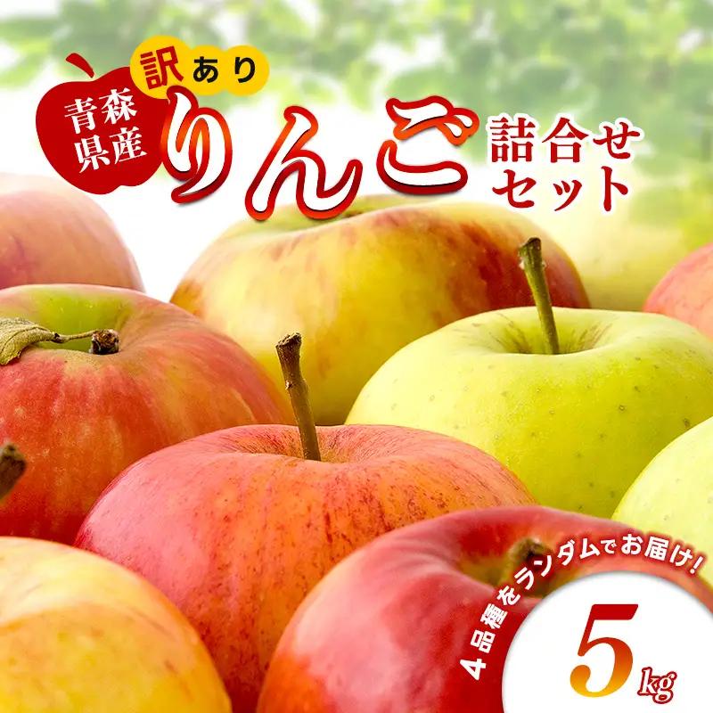 【特に訳あり】 藤崎町産 りんご 約5kg 【ふじさき季の会】 青森りんご リンゴ 林檎 アップル ふじ発祥の地 おすすめ 東北 青森県 藤崎町  F41-0128