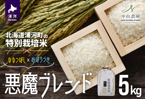 【新米発送！】北海道浦河町の特別栽培米「悪魔ブレンド」精米(5kg×1袋)[37-1225]