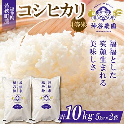 ふるさと納税 若狭町 【令和8年産先行受付】福井県若狭町コシヒカリ(1等米)　10kg(5kg×2袋)