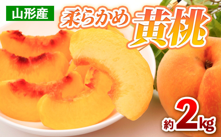 
            山形産 柔らかめ 黄桃 約2kg(4～9玉) 【令和7年産先行予約】FS24-704
          