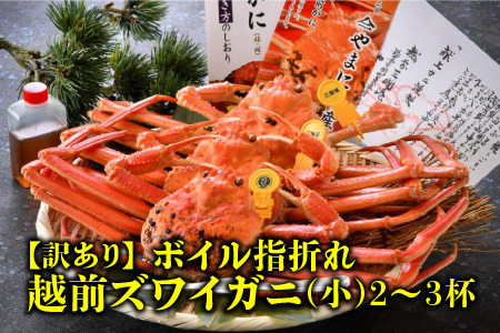 【先行予約】名人が茹でる とれたて指折れ越前がに(小) 2～3杯【3月発送分】 [C-4352_03]