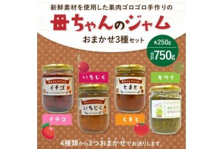 〈母ちゃんのジャム〉 手作りジャム 250g×おまかせ3種(各1個)セット ジャム 詰め合わせ