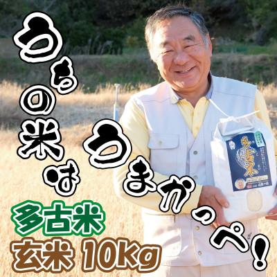 ふるさと納税 多古町 多古米グランプリ常連　佐藤さんのコシヒカリ【令和7年産玄米】10kg