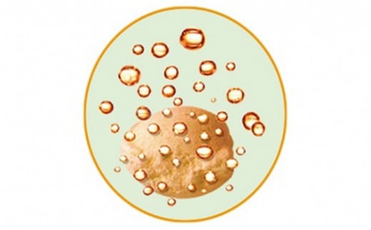 入浴剤 バスクリン きき湯 3個 セット 食塩 炭酸湯 疲労 回復 SDGs お風呂 日用品 新生活 バス用品 温活 冷え性 改善 スキンケア 静岡県 藤枝市