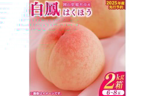 白桃「白鳳（2kg箱）」岡山県総社市産【2025年産先行予約】25-020-003