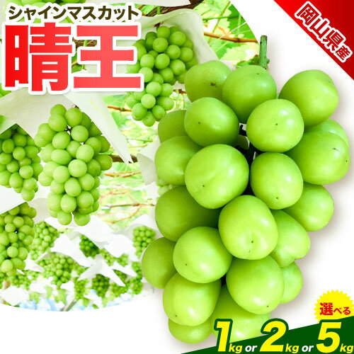 【ふるさと納税】ぶどう 岡山県産【秀品】シャインマスカット晴王 選べる内容量 1kg(2房) 2kg(3～4房) 5kg(6～8房) 梅木商店《9月-11月末頃出荷》岡山県 備前市 ぶどう 葡萄
