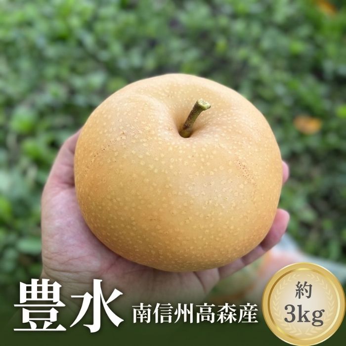 【ふるさと納税】豊水 3kg箱【配送不可地域：離島】