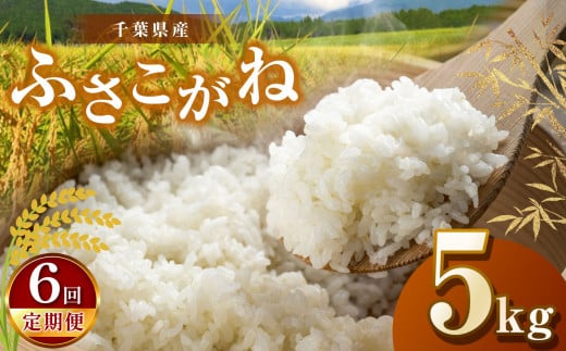 【新米・令和6年産】【6回定期便】君津市産ふさこがね（精米）5kg | JA さだもと 米 こめ お米 おこめ 白米 精米 定期便 定期 千葉県 君津市 きみつ