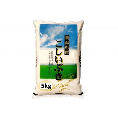 ふるさと納税 阿賀野市 【令和7年産】新潟産 こしいぶき 5kg 白米 精米