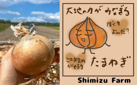 ＜2024年9月初旬よりお届け＞北海道壮瞥町産　玉ねぎ約10kg【 ふるさと納税 人気 おすすめ ランキング 玉葱 玉ねぎ たまねぎ タマネギ オニオン 甘い 北海道 壮瞥町 送料無料 】 SBTO0