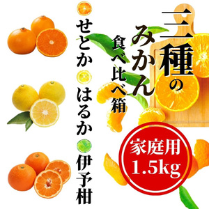 《2027年2月頃から順次発送》【三種のみかん食べ比べ箱】 せとか・はるか・伊予柑 （家庭用）1.5kg | 愛媛 みかん 蜜柑 柑橘 果物 くだもの フルーツ お取り寄せ グルメ 期間限定 数量限定 人気 おすすめ 愛媛県 松山市 【PT043】