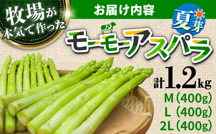 【先行予約】モーモーアスパラ 夏芽 M / L / 2L セット 1.2kg（6月上旬から順次発送）酪農 牧場 こだわり アスパラガス おすすめ 大分県 日田市 / 株式会社本川牧場 アスパラガス[A