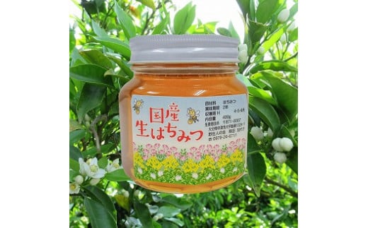 中津・耶馬渓のはちみつ みかん 400g×1瓶 | 国産 蜂蜜 ハチミツ みかん 蜜柑 ミカン 大分県産 九州産 中津市 国産