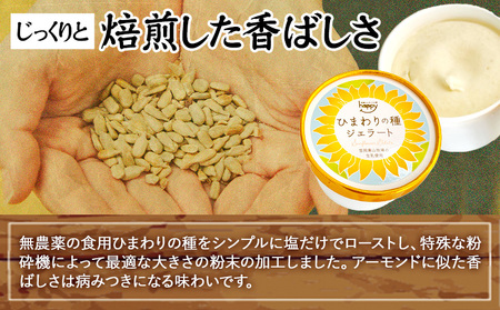 ひまわりの種ジェラート 30個セット　ジェラート アイス