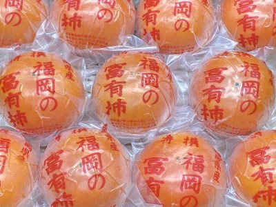 柿の王様 池尻農園 田主丸町の富有柿(冷蔵)2L 16玉入り 約4.2㎏_柿 約 4.2kg 富有柿 2L 16玉 入り 個包装 柿の王様 人気 高い 国産 フルーツ 果物 高品質 天皇への献上品 池