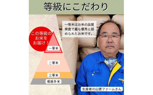 【寄附額改定】【令和7年産】京都丹波米 きぬひかり 玄米 30kg《米 一等米 キヌヒカリ 特別栽培米 減農薬》※北海道・沖縄・離島への配送不可【～3月31日まで】