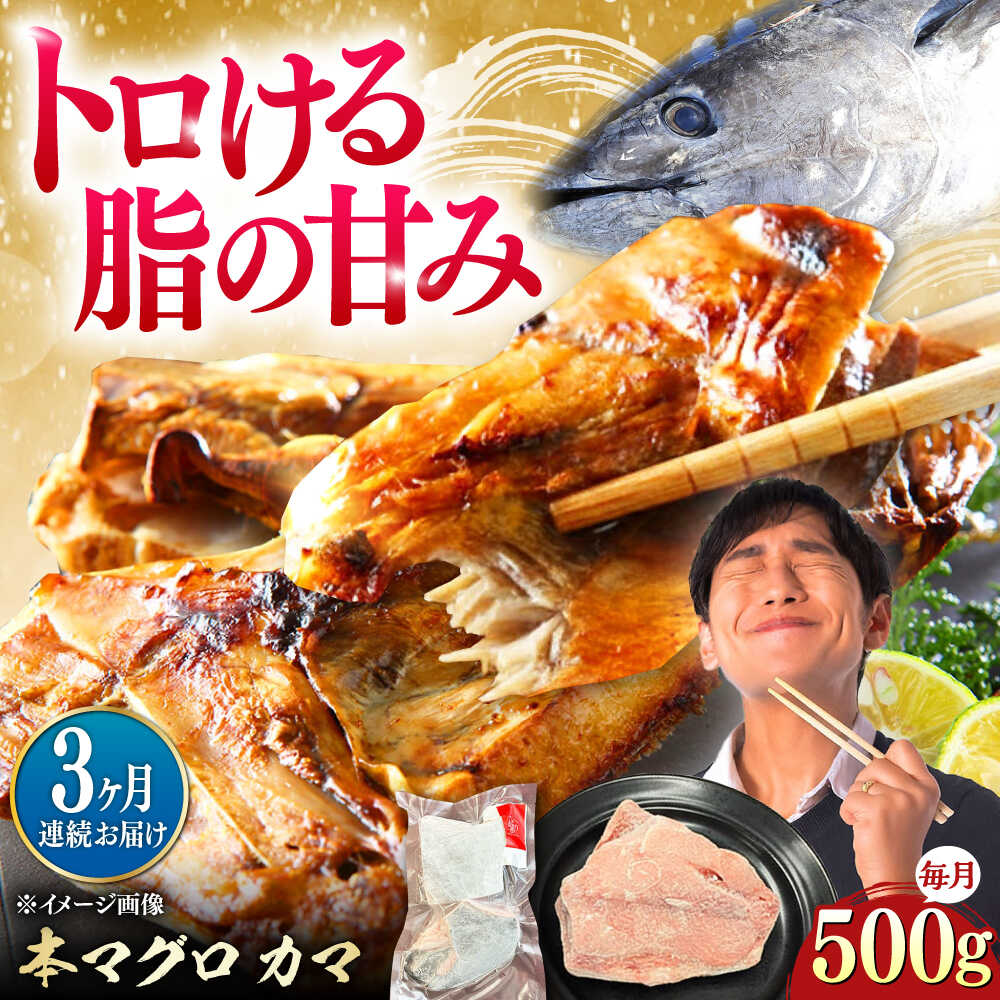 【ふるさと納税】【全3回定期便】対馬産 本マグロ カマ 500g ≪対馬市≫【桐谷商店】 トロの華 対馬 新鮮 マグロ かま 鮪[WAQ092]