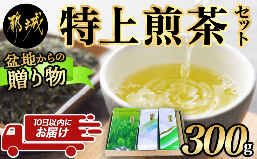 
盆地からの贈り物 特上煎茶セット≪みやこんじょ特急便≫_AA-4801-Q_(都城市) 茶葉 特上煎茶 上白折 煎茶 各100グラム お茶の産地 都城盆地 最高級品 一番茶 Green Tea 水出し ギフト 家庭用 日本茶
