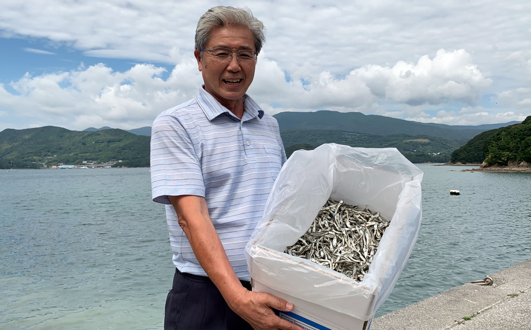 特選海の幸自然の味　小羽　いりこ（煮干し）２kg 大島海産