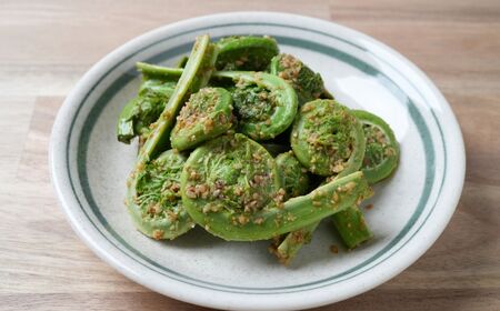 【期間限定】令和8年産 旬の山菜 こごみ 500g【新潟県 糸魚川市 山菜 コゴミ こごみ 野菜 能生谷 おおかやば山菜園】