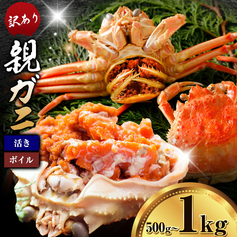 【ふるさと納税】カニ 親ガニ 訳あり 500g 1000g 1kg ボイル or 活き 5杯 10杯 《12月上旬-12月末頃出荷》 SOO合同会社 鳥取県 八頭町 送料無料 蟹 かに 姿 鍋 訳アリ