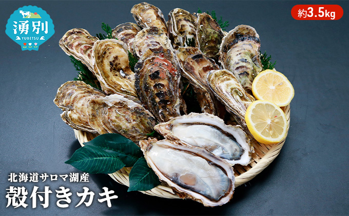 【国内消費拡大求む】 先行予約 北海道 サロマ湖産 カキ 約3.5kg 牡蠣 海鮮 魚介 国産 殻付き 貝付き 生食 焼き牡蠣 蒸し牡蠣 冷蔵 産地直送 オホーツク 魚貝類 生牡蠣 かき 殻付きカキ 